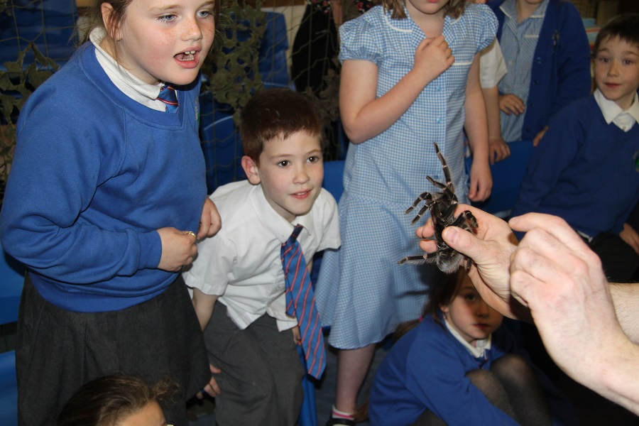 minibeast visits in school