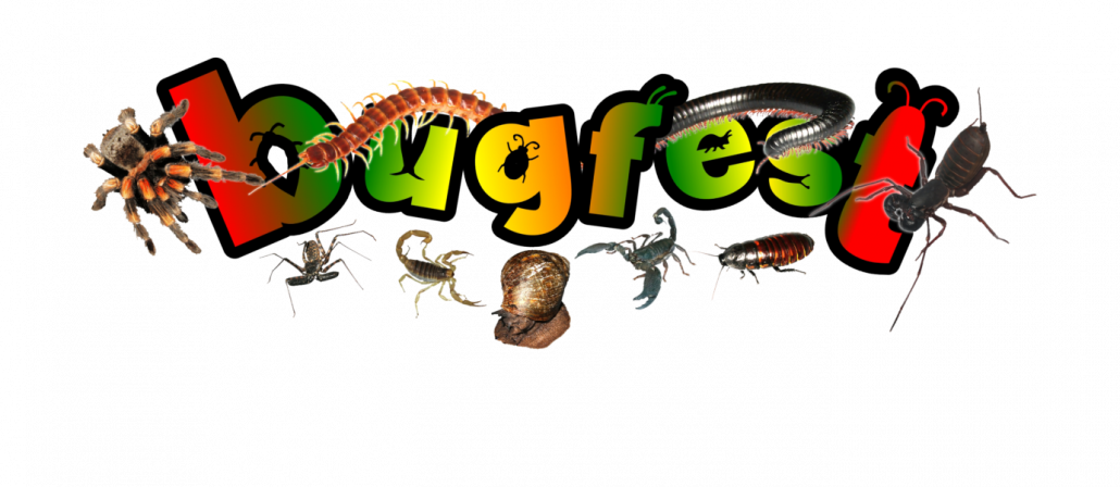 bug man visits